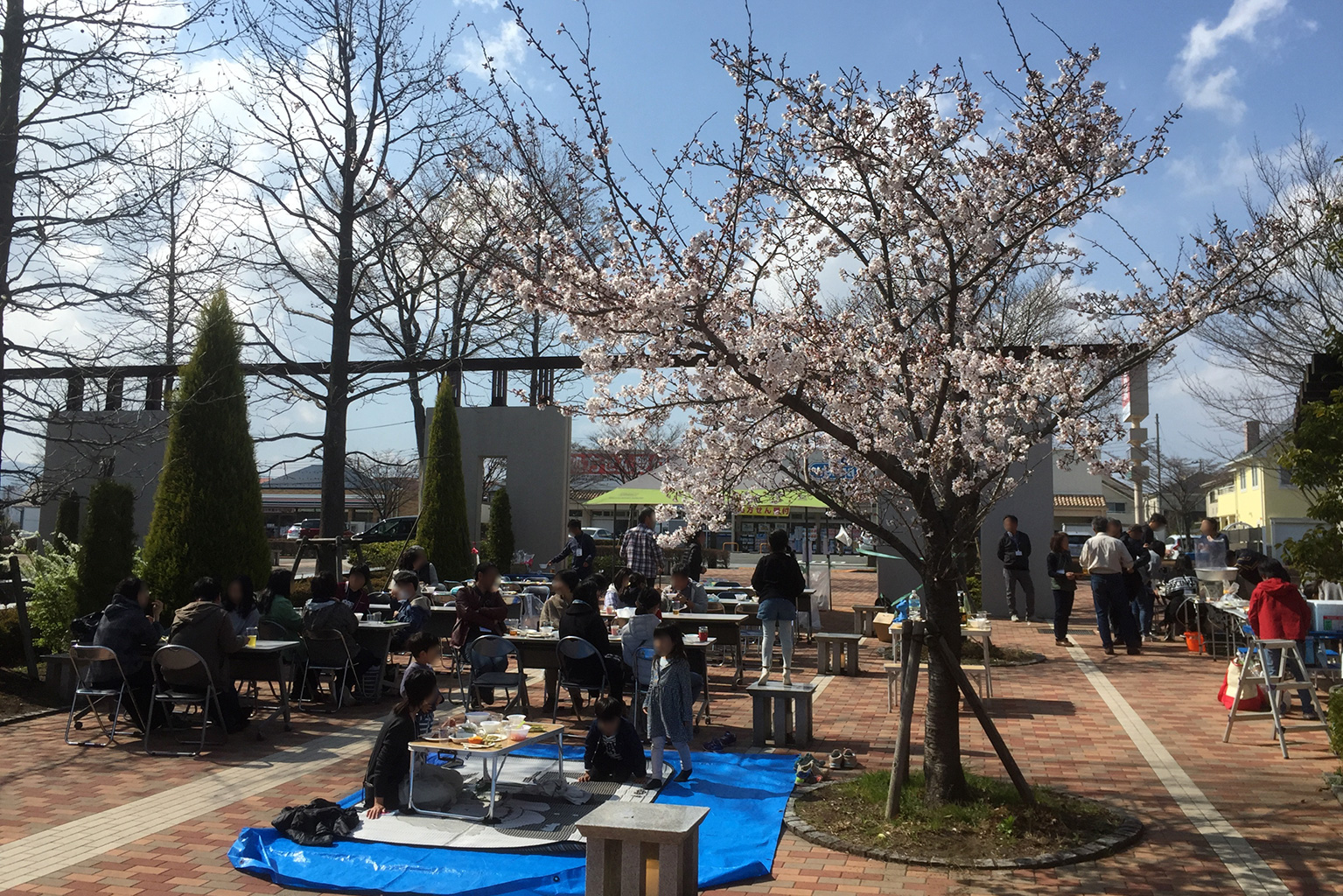 花見