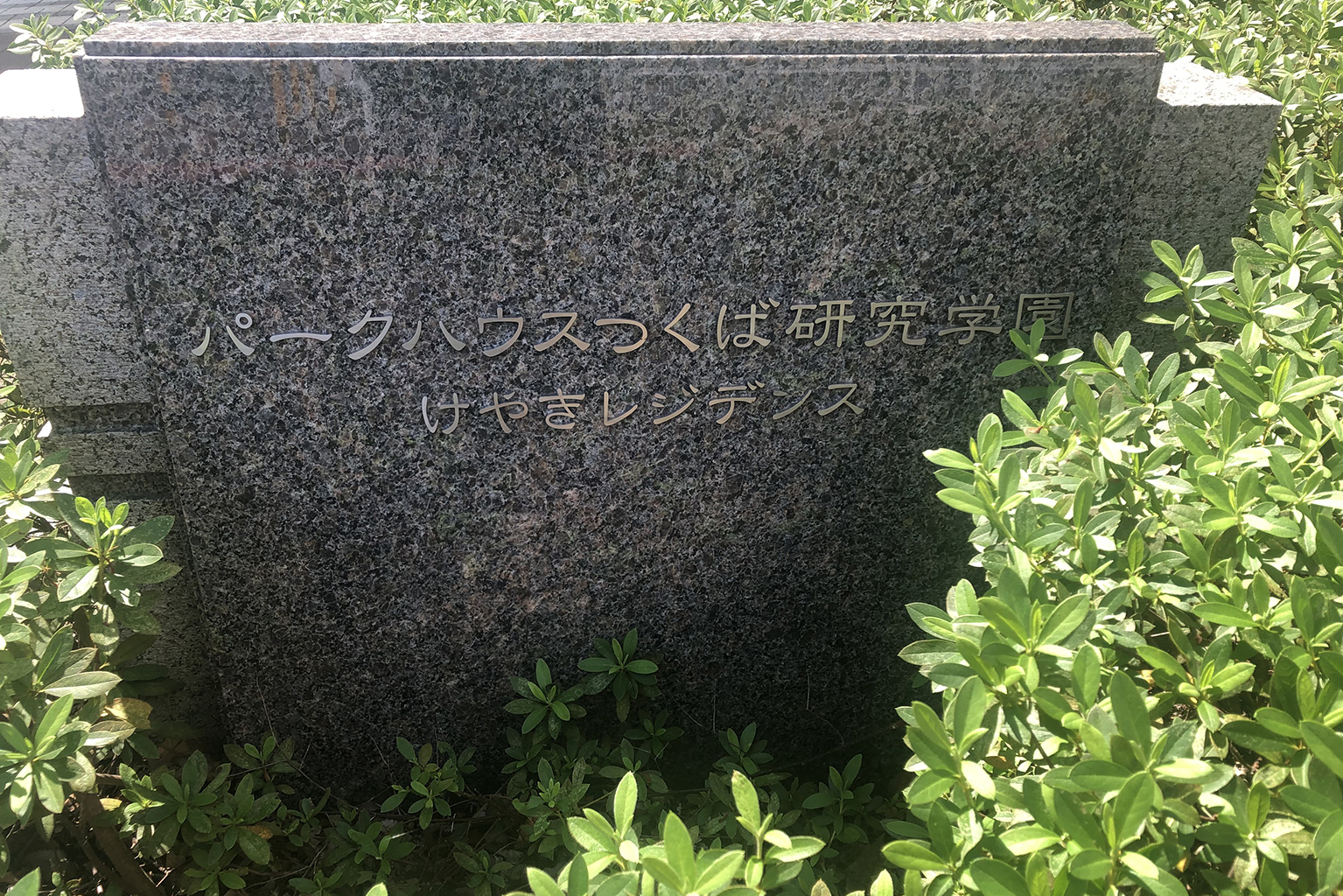 プレート
