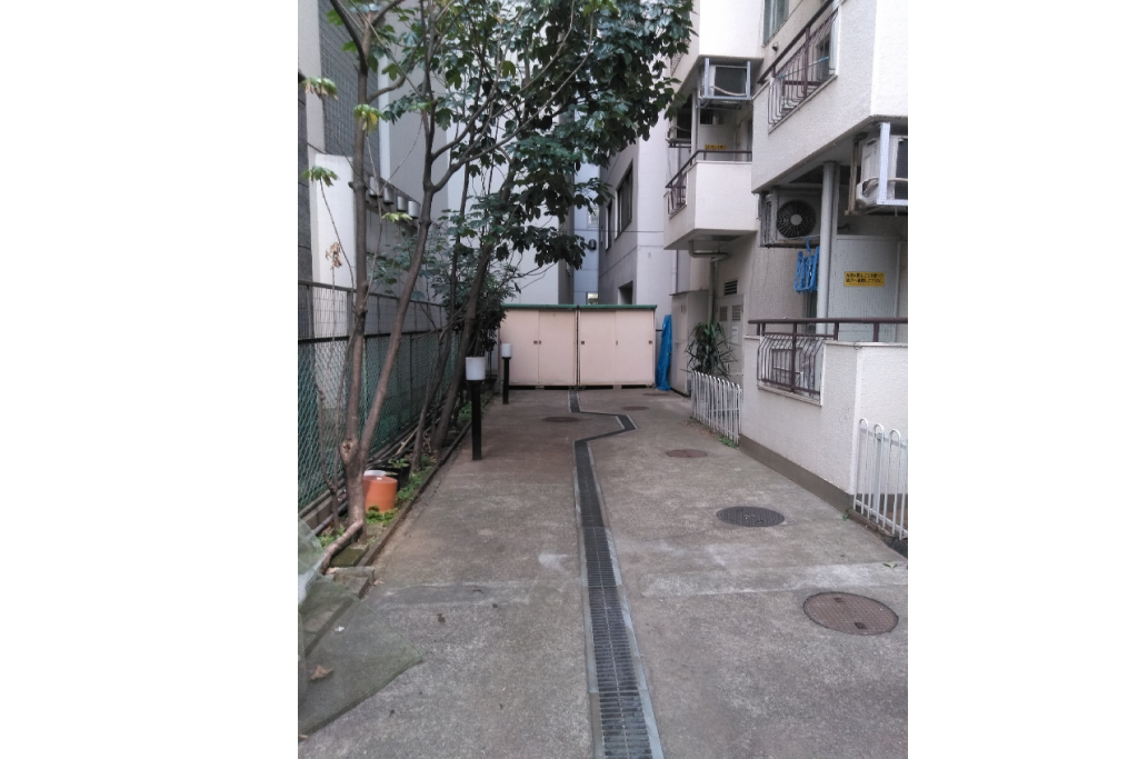 裏庭